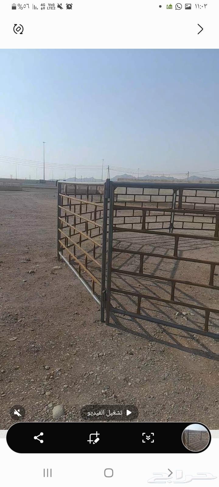 شبوك للبيع بأنواعها64471608311810110