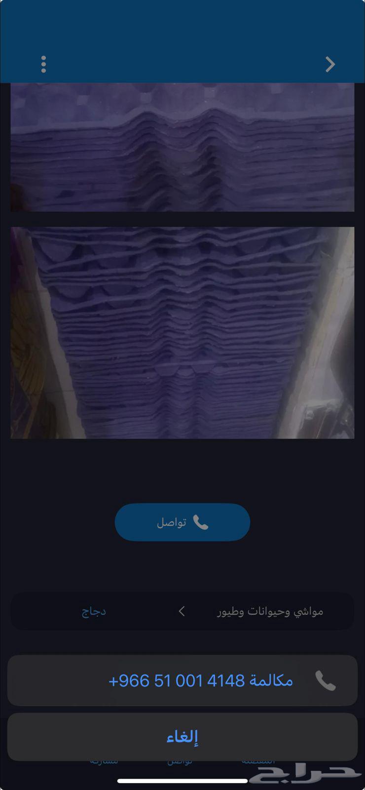 اطباق بيض فارغه مستعمل نظيف64466460425347110