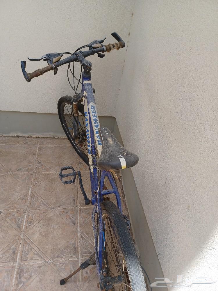 دراجة رياضية للبيع64464591174785111