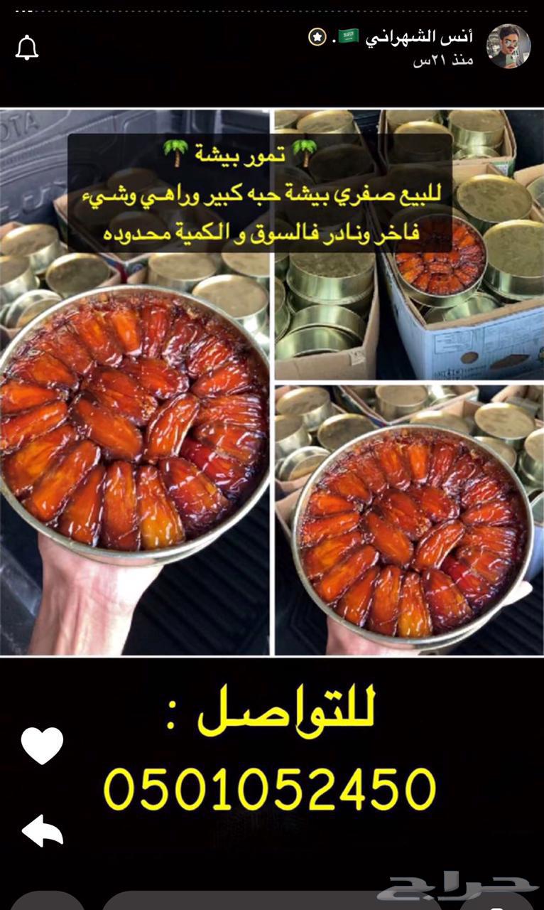 للبيع تمر صفري صافي حبه جامبو كيلو ونص64466947305603110