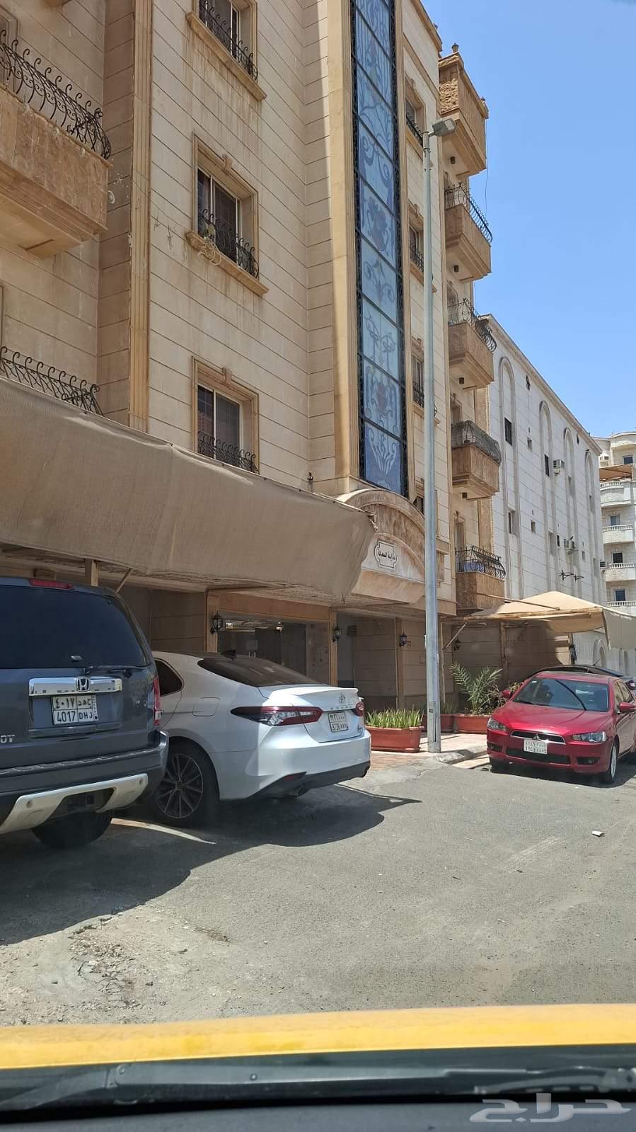 صدور دجاج فيليه64467746565379110