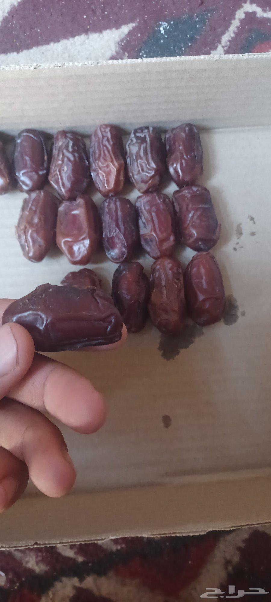 Fresh vegetables available in Al-Ghat, side-by-side quantity is open, contact me64471075242499110