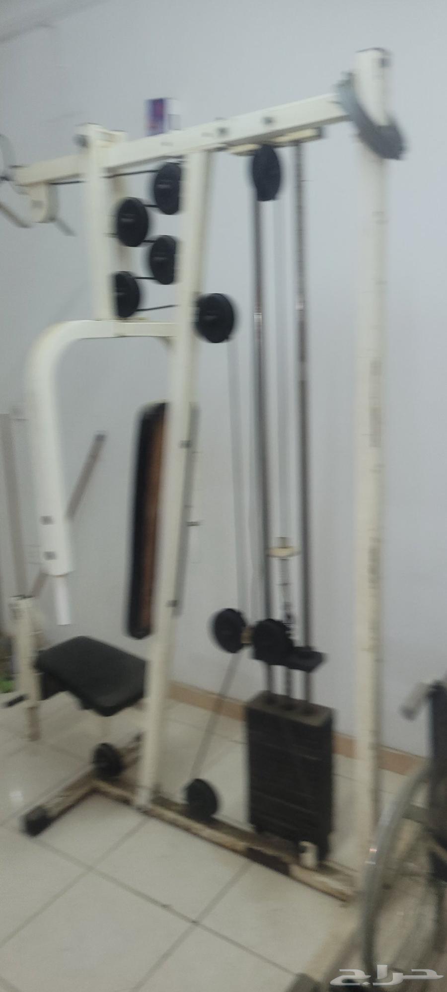 جيم متعدد فقط مقابل 1000 ريال64469292754947111