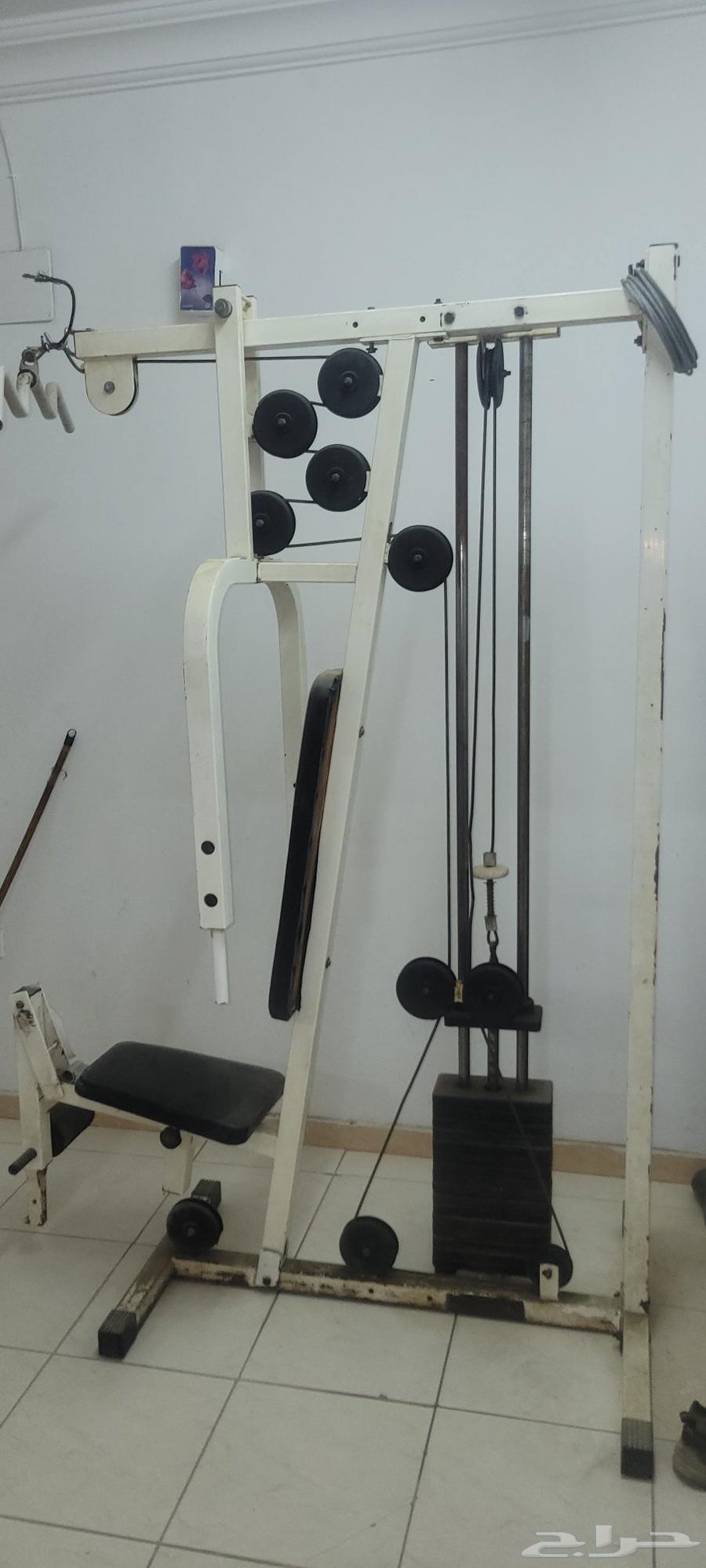 جيم متعدد فقط مقابل 1000 ريال64469292754947110