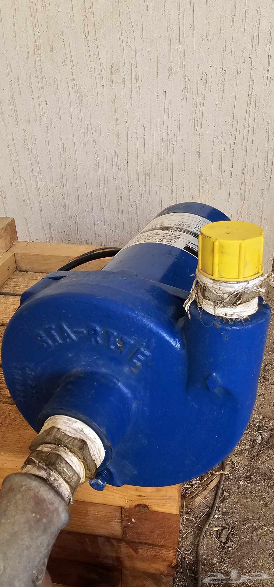 Semnan Dynamo64465437417090113