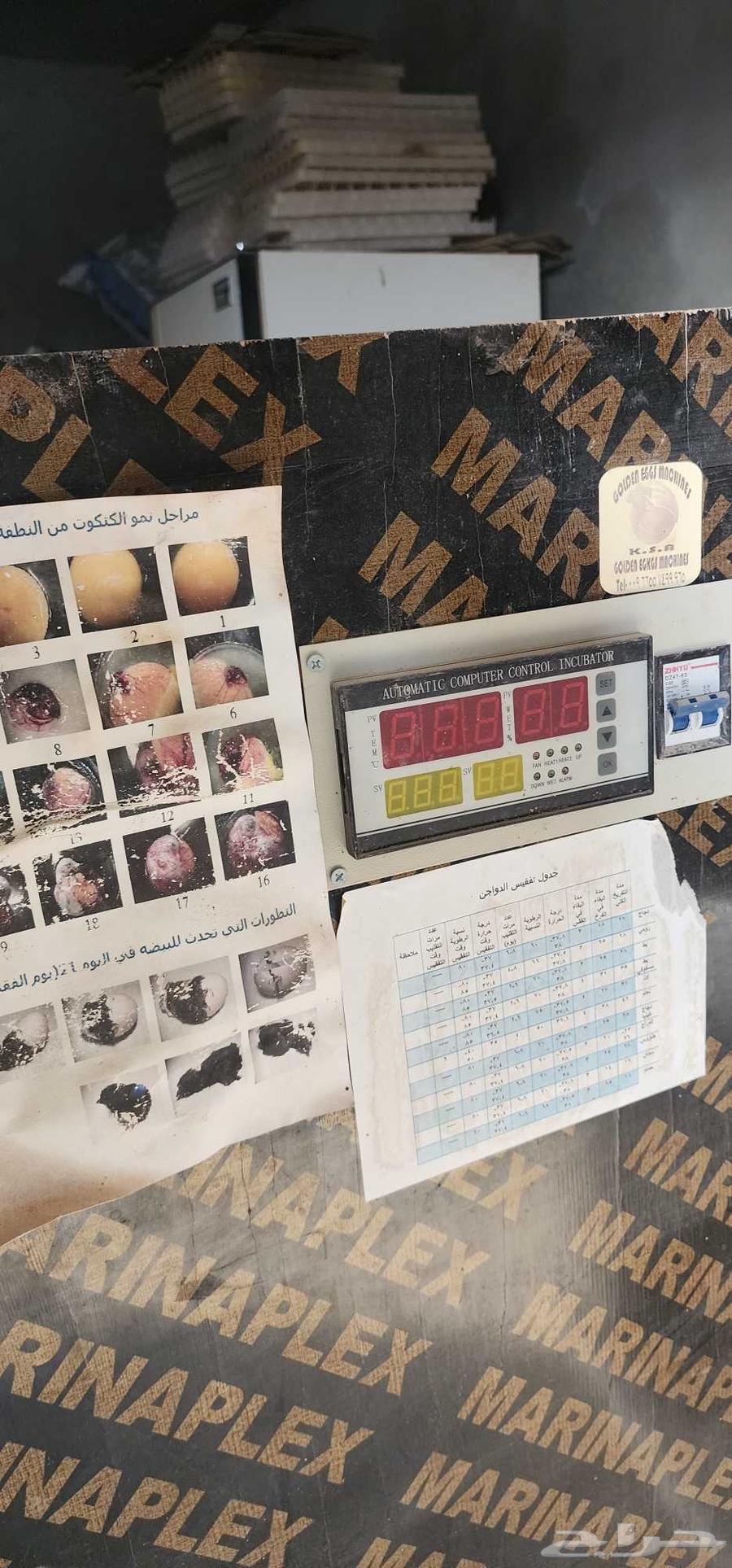 فقاسه للبيع64468769580289112