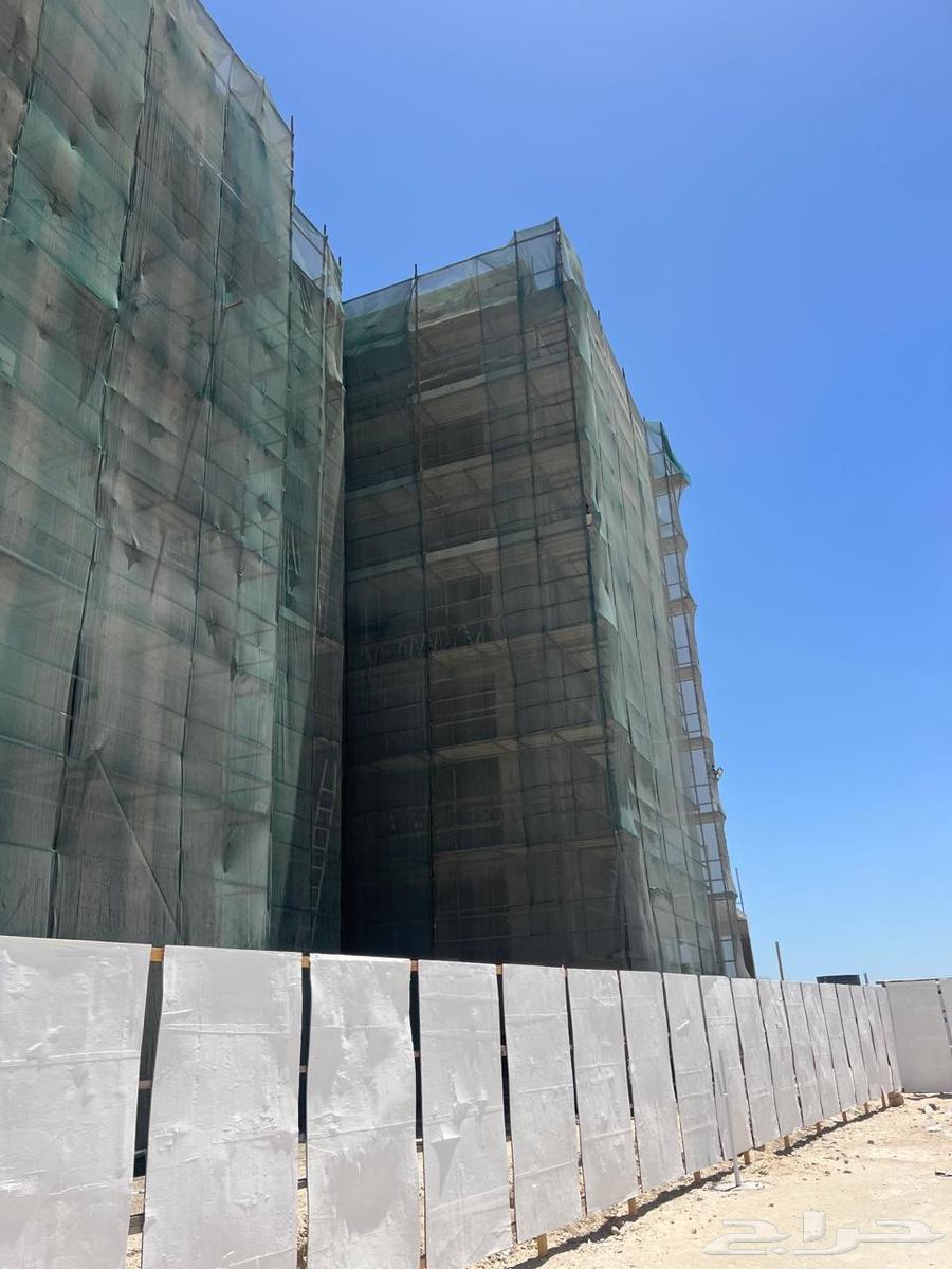 موقع للبيع شيلا بيلا شدة معدنية و كرينات64471197937027110