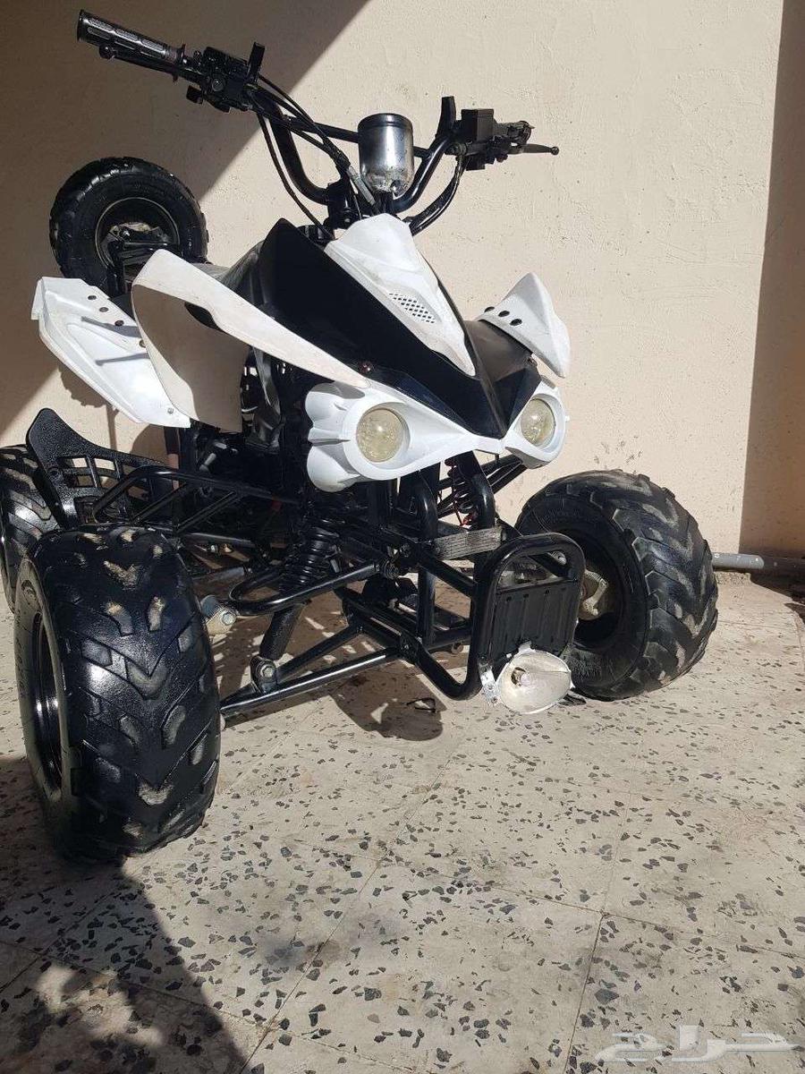 تم البيع دباب فراشه أربع كفرات64465884937473110