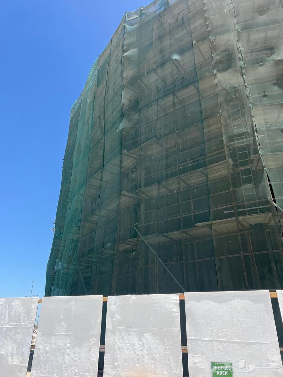 موقع للبيع شيلا بيلا شدة معدنية و كرينات64471197937027111