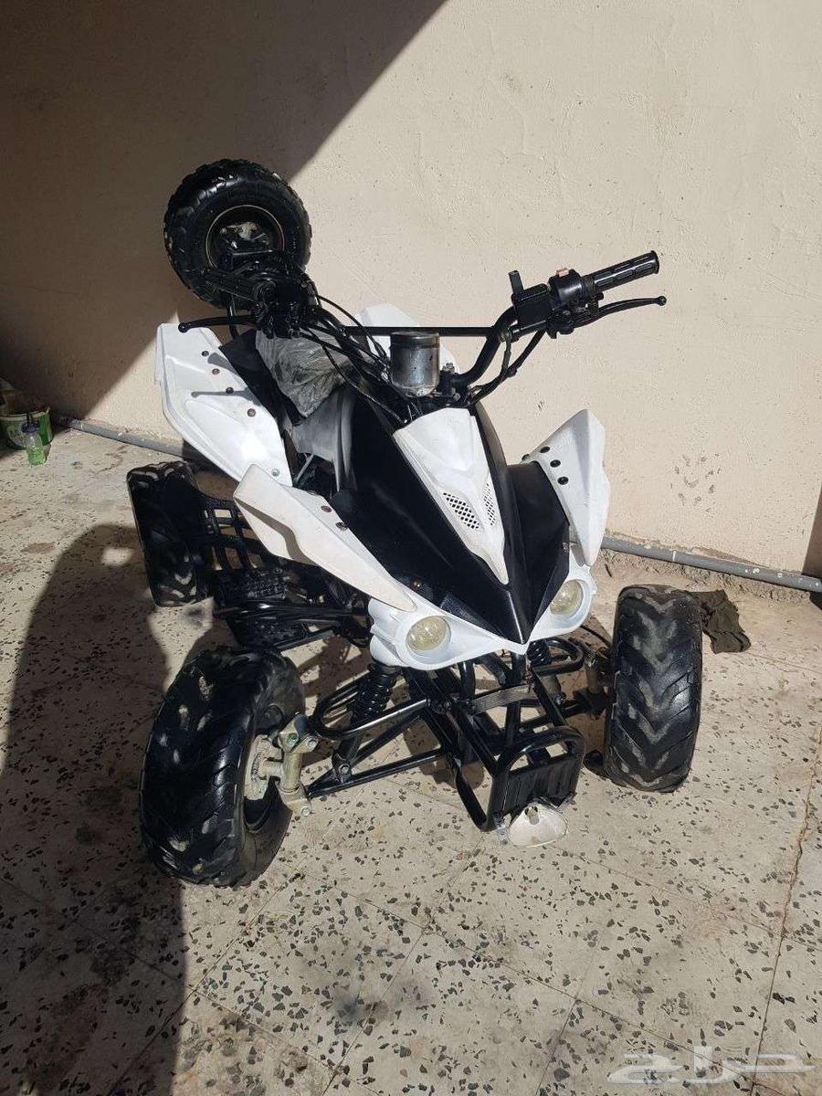 تم البيع دباب فراشه أربع كفرات64465884937473112