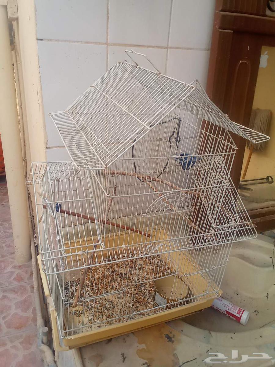 قفص عصافير كبير64468273736067110