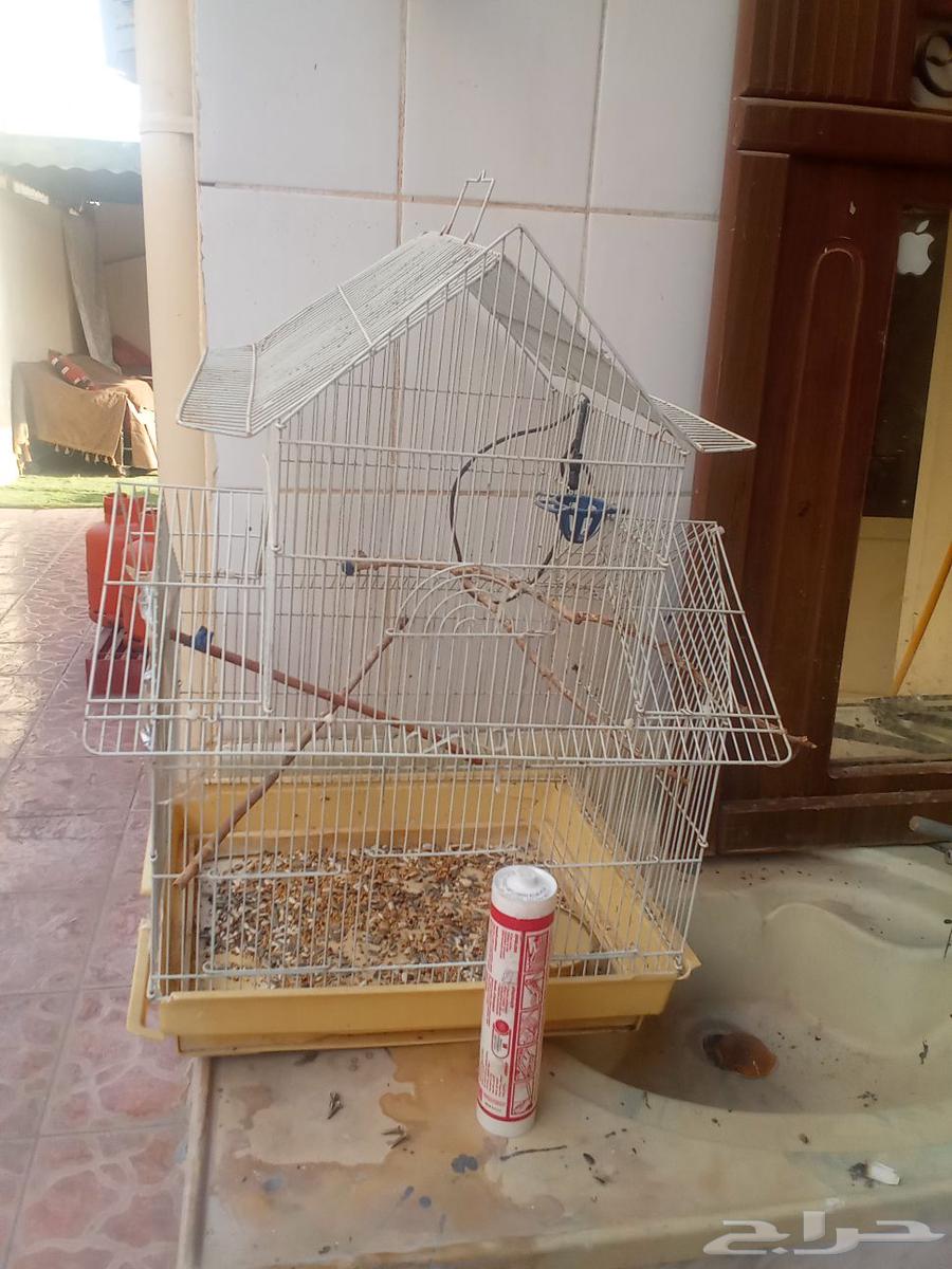 قفص عصافير كبير64468273736067111