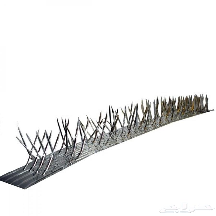 Bird Spike and Netting Deterrent for Pigeons64381040780161110