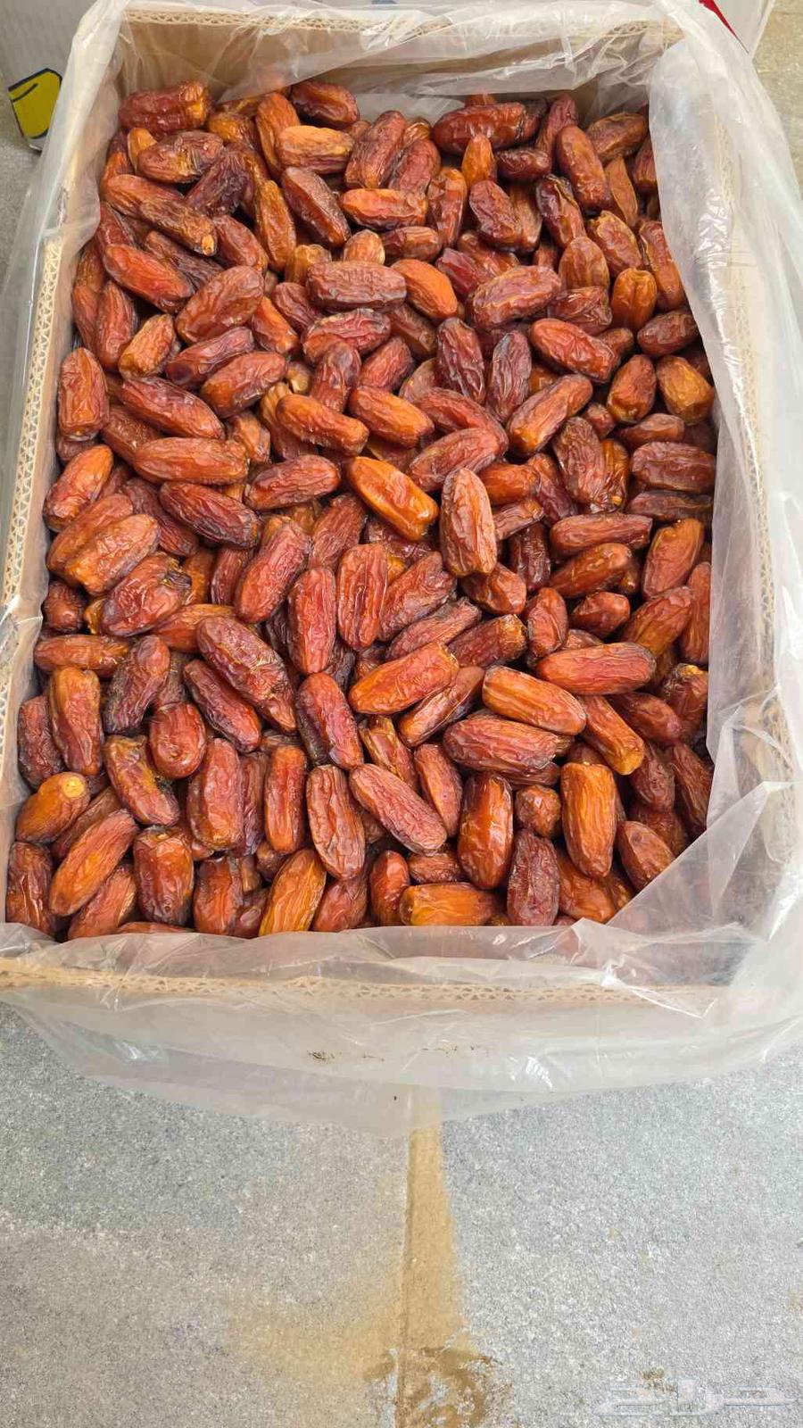 صفري بيشة صافي64473121032449111