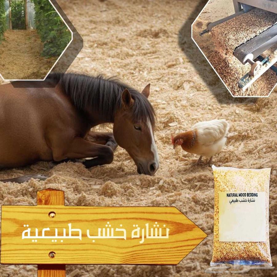 نشارة خشب64478690845825110