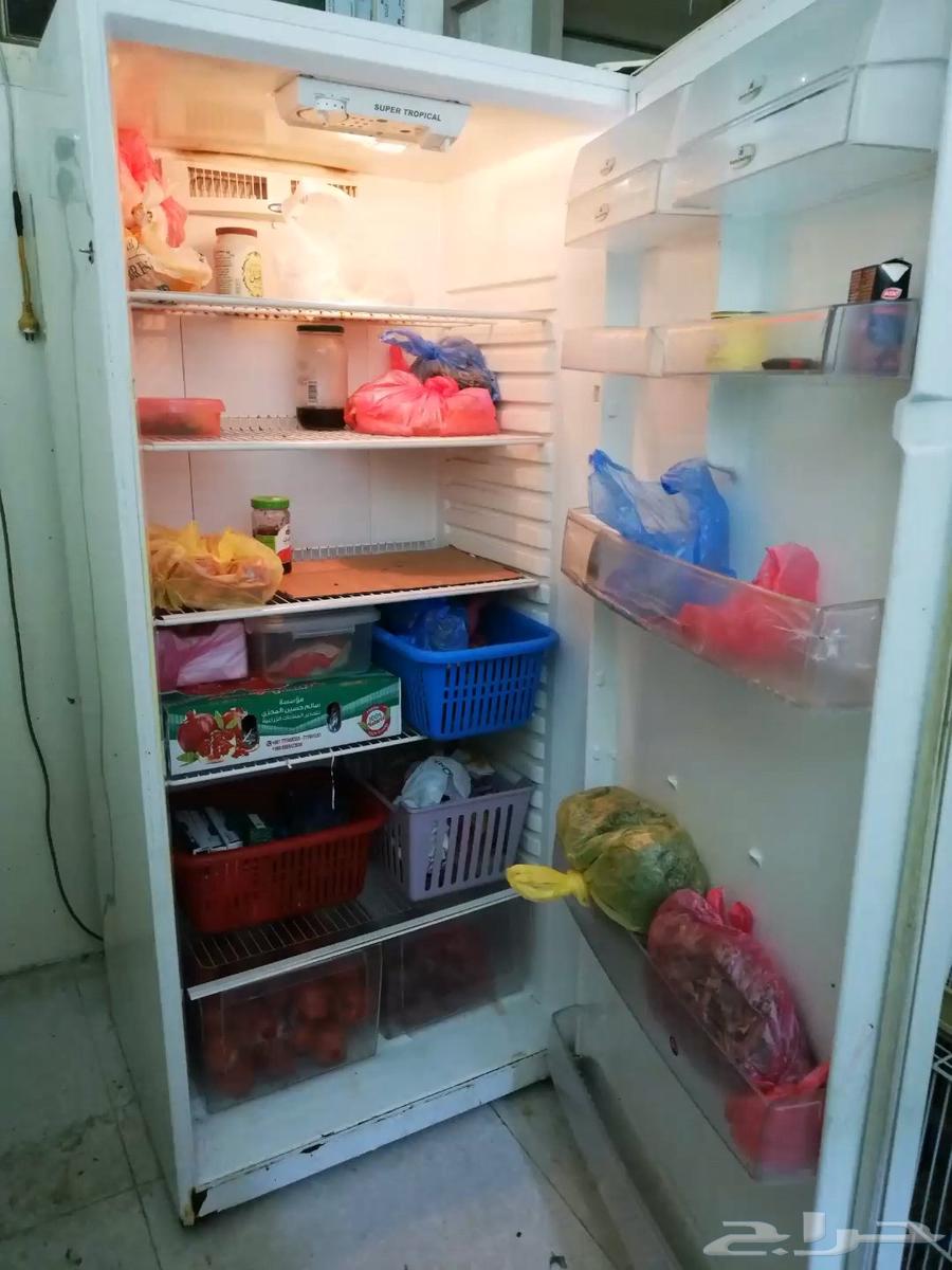ثلاجه باب واحد دولاب كنفنيتر كهرباء 11064478252244353110
