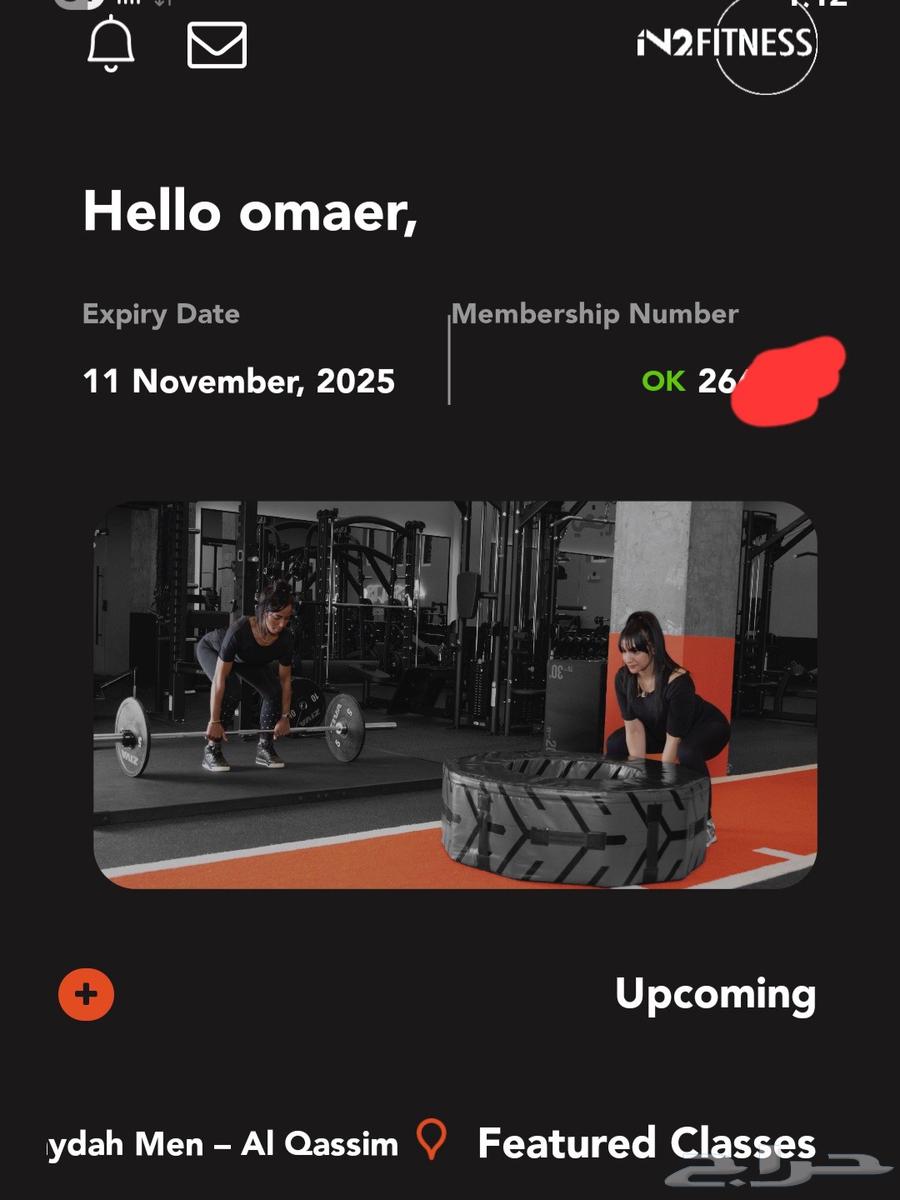 اشتراك جيم IN ببريدة 61DAY64474527887234110