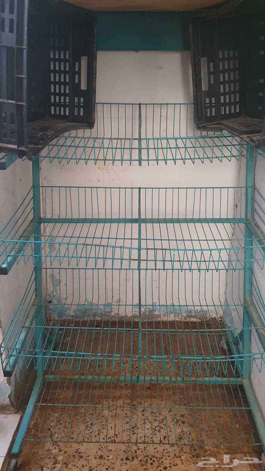 Iron shelf 50 SAR64472803031939110