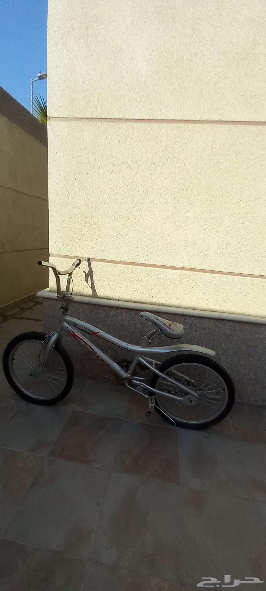 Cobra Cycle Size 2264473008993539110