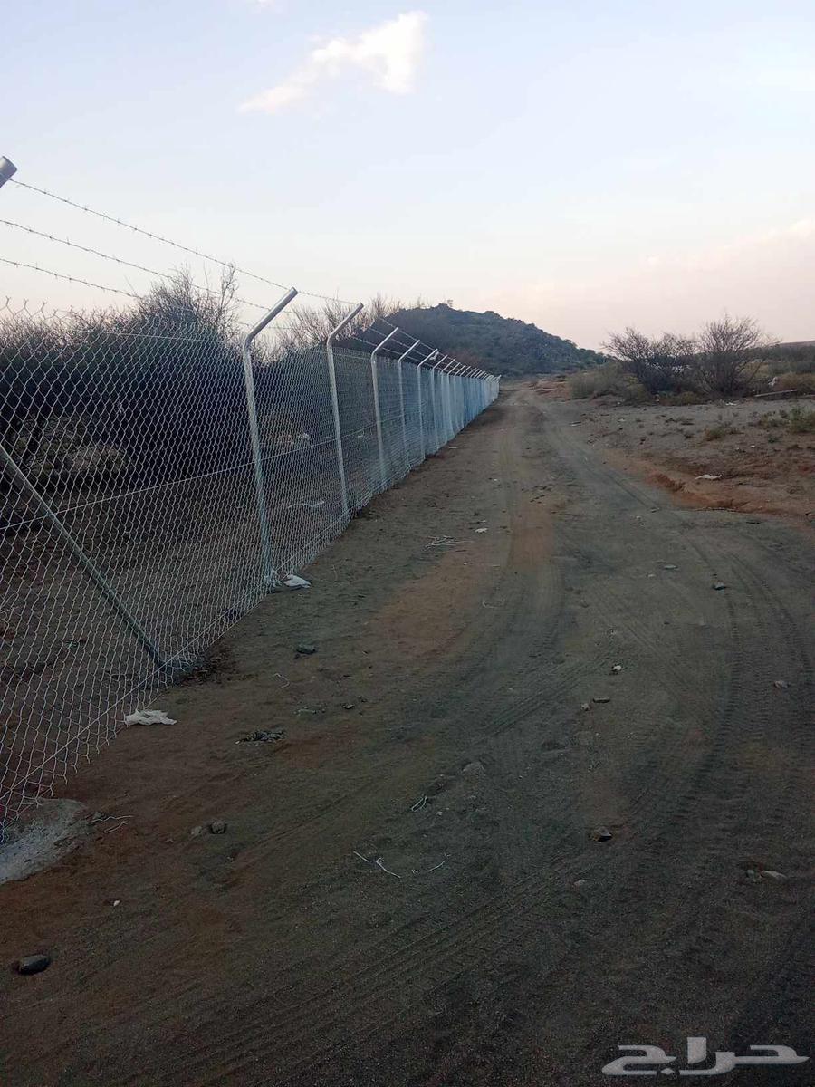 Farm Fencing Installation, Sports Field Fencing Installation, Breakage Fencing, Rest Area Fencing64213281371649113