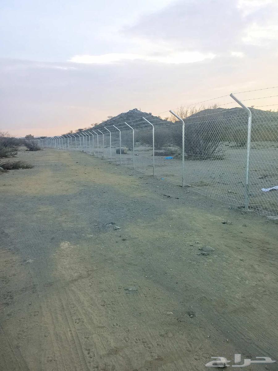 Farm Fencing Installation, Sports Field Fencing Installation, Breakage Fencing, Rest Area Fencing64213281371649112