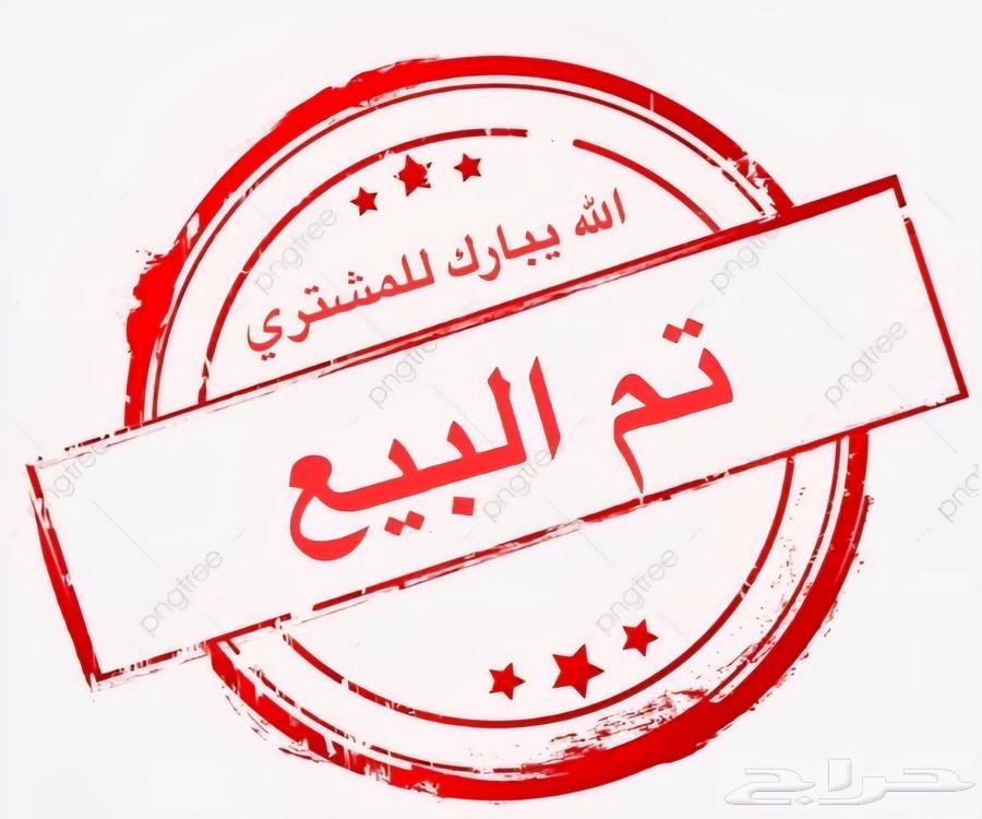 زوج حمام رقاصي لون ابيض64416081385089110