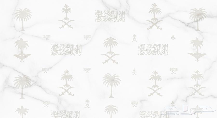 Create a website for 100 SAR64476100702850110