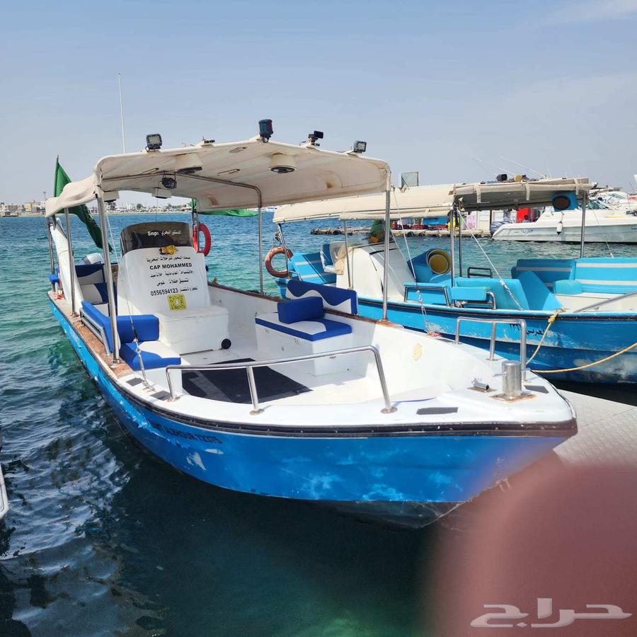 رحلة صيد بالشخص صباح السبت64478279679233110