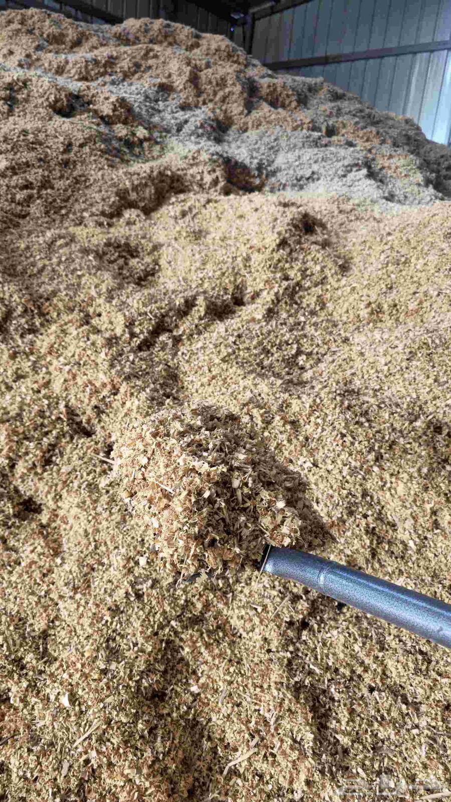 نشارة خشب64478690845825111