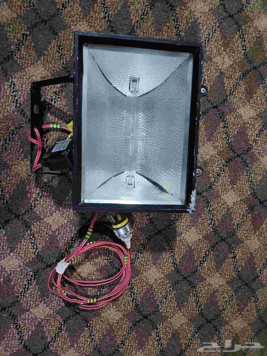 كشاف كهربائي واضوية نيون للبيع64477185561729112