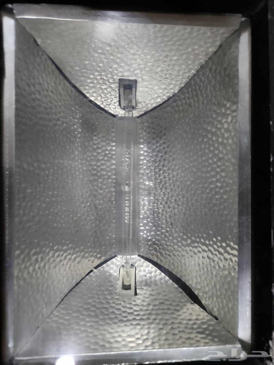 كشاف كهربائي واضوية نيون للبيع64477185561729111