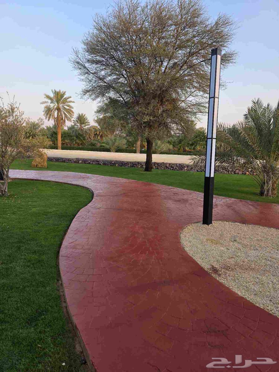 Colored concrete pour, colored concrete pour64146167686531112