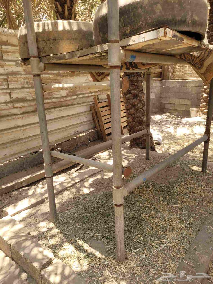 محلب ابقار للبيع64474416408066111