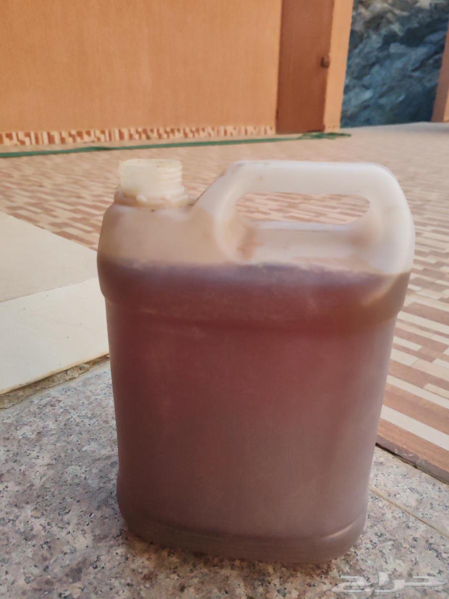 Sidr honey and Samrah honey, 150 SAR per can and 700 SAR for 5 kg jar64476656935043110