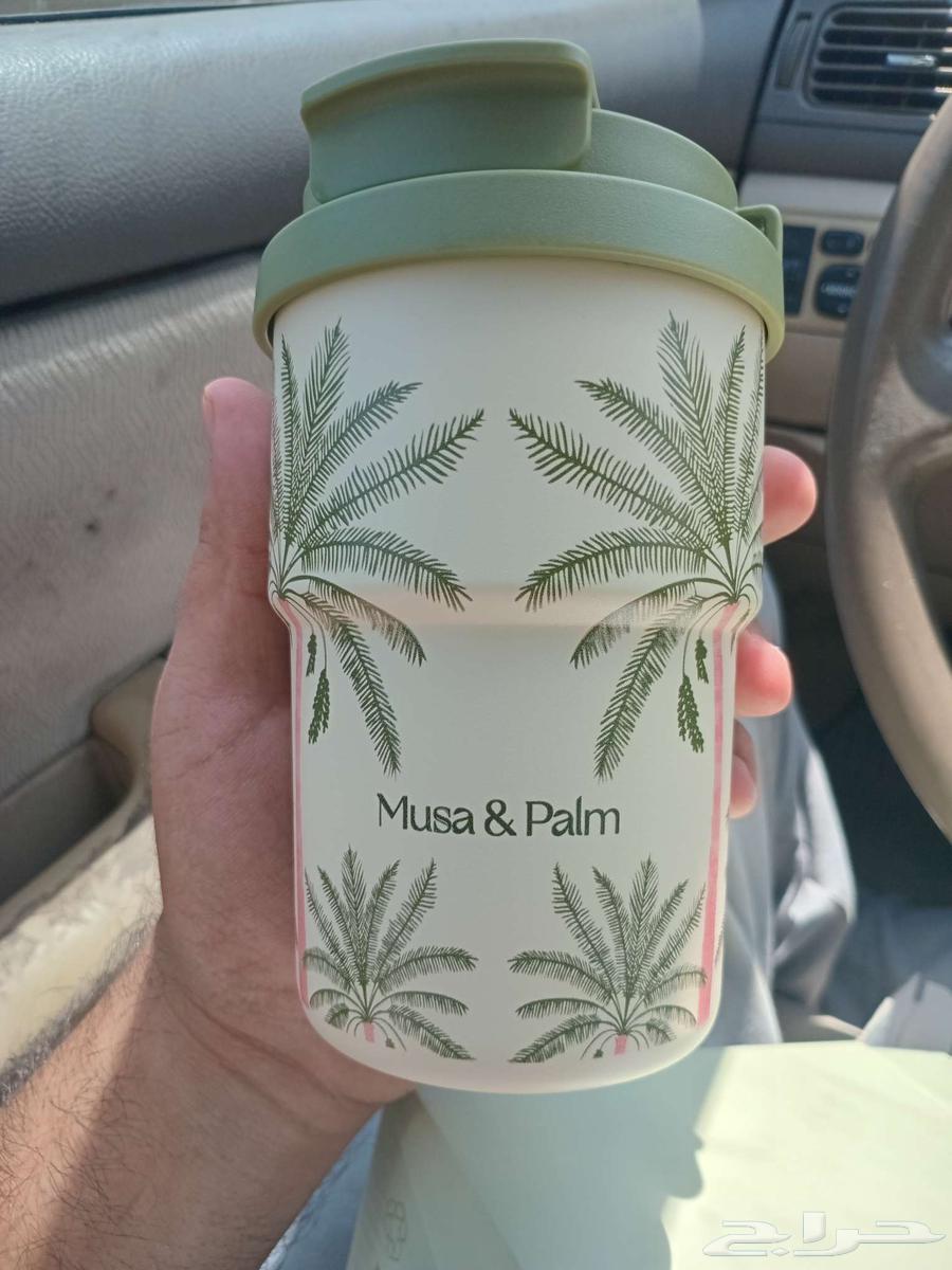 مق Musa palm جديد للبيع64474187965315110