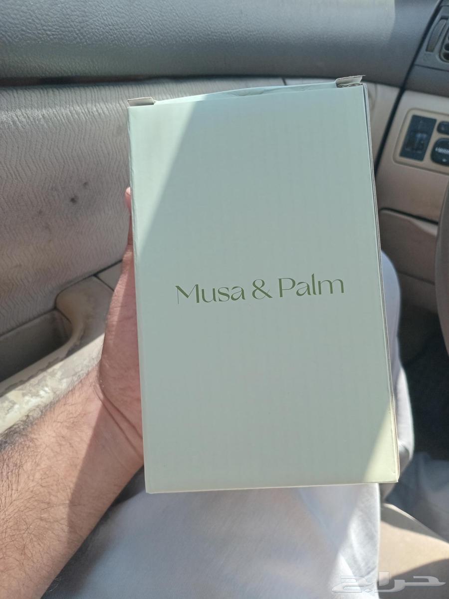 مق Musa palm جديد للبيع64474187965315111