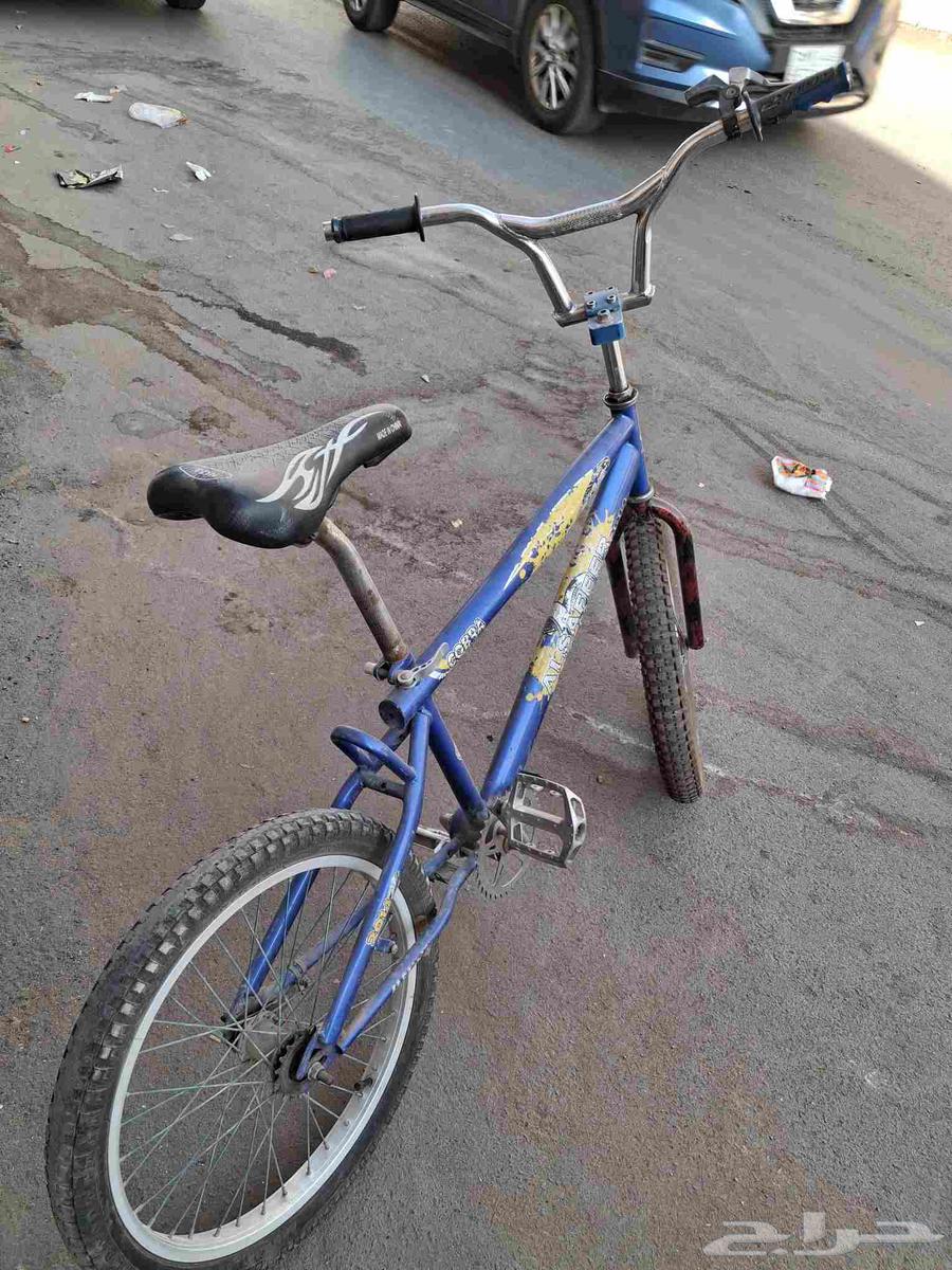 Cobra Cycle64475695016195110