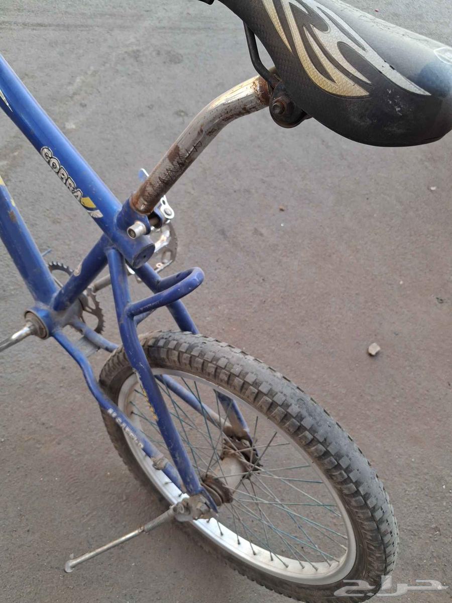 Cobra Cycle64475695016195114