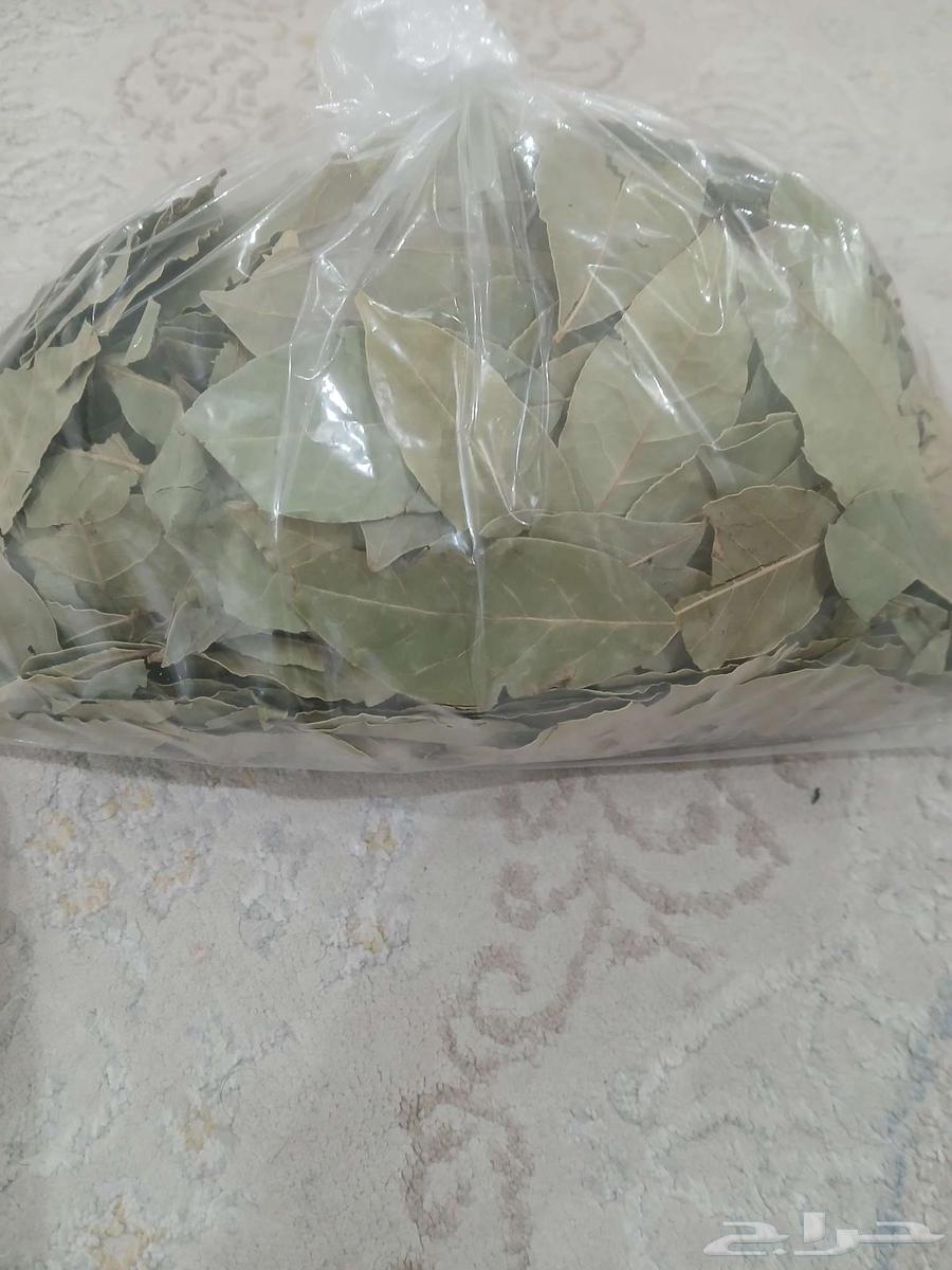 اعرض لكم ورق غاز   سوري انظف شي في السوق64474693375233110