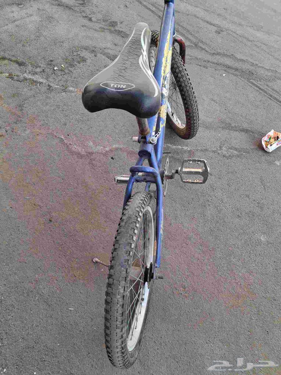 Cobra Cycle64475695016195111