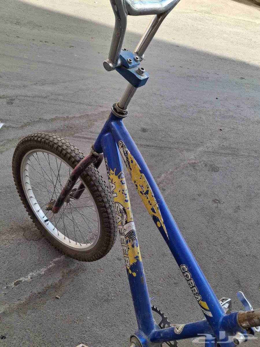 Cobra Cycle64475695016195113