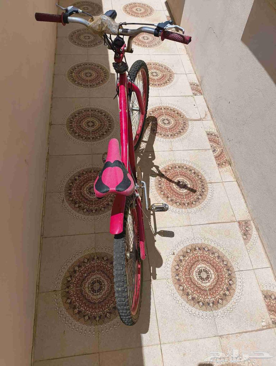 سيكل كوبرا مقاس 2464474283751042112