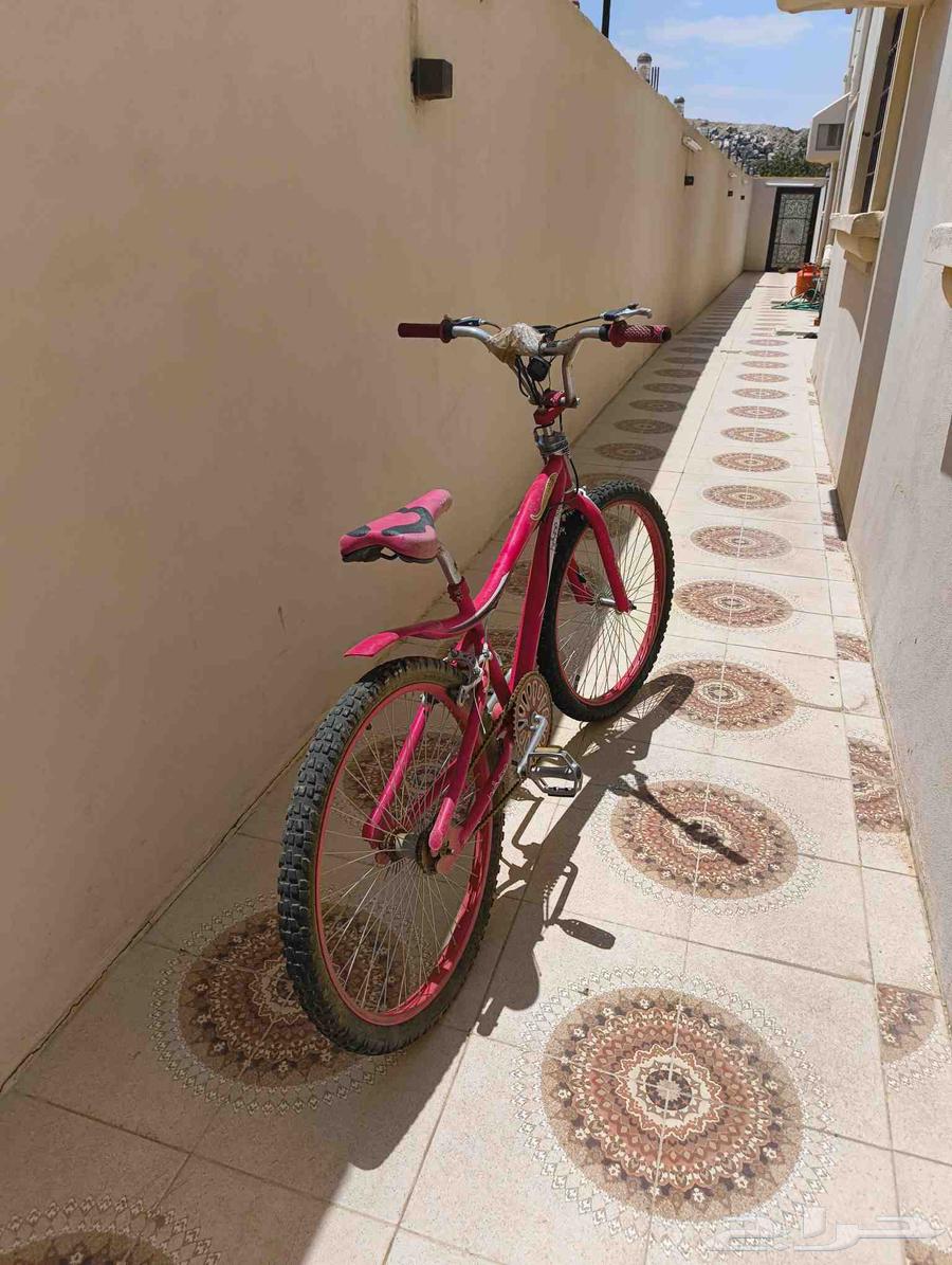 سيكل كوبرا مقاس 2464474283751042111