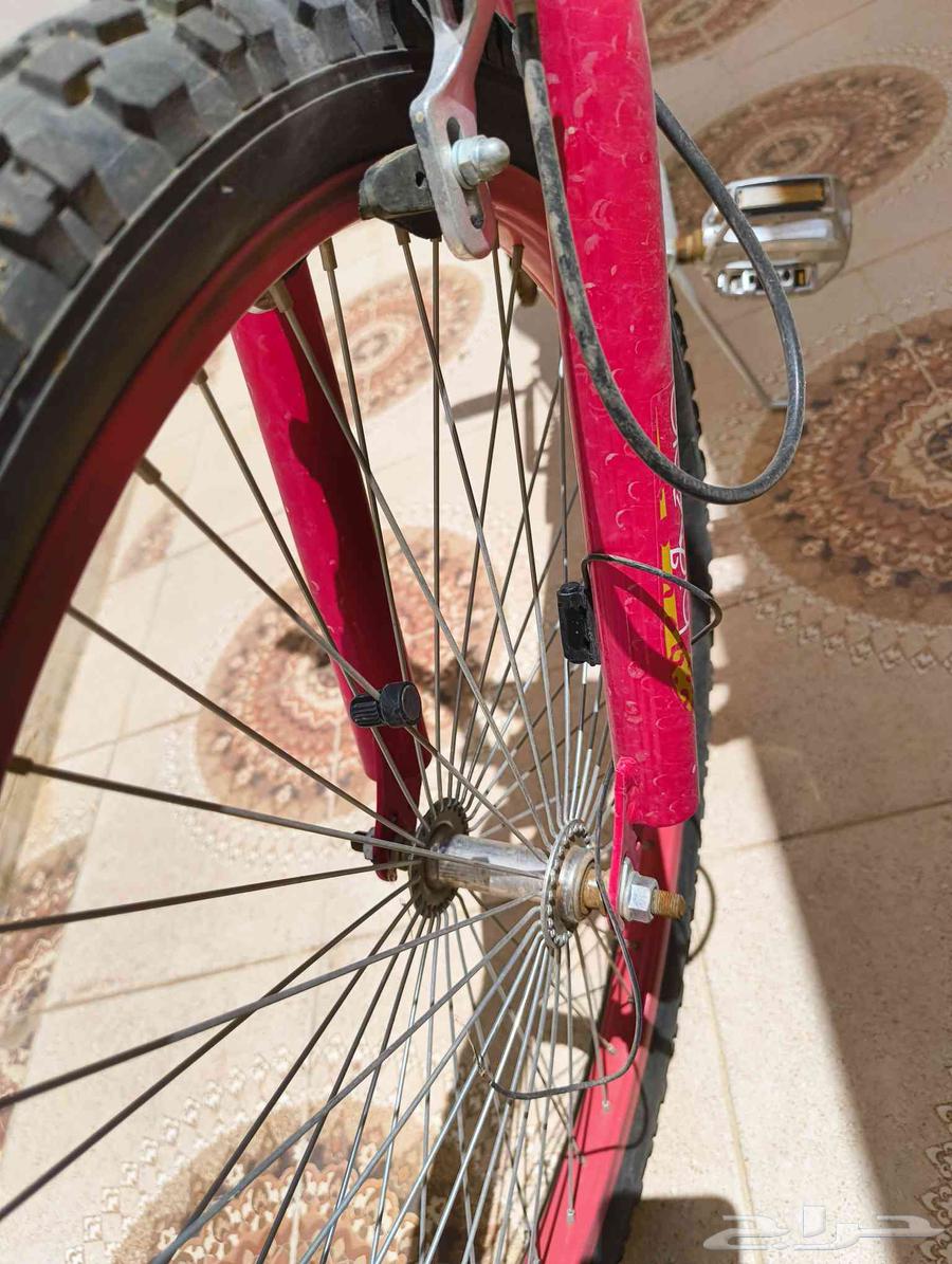 سيكل كوبرا مقاس 2464474283751042114