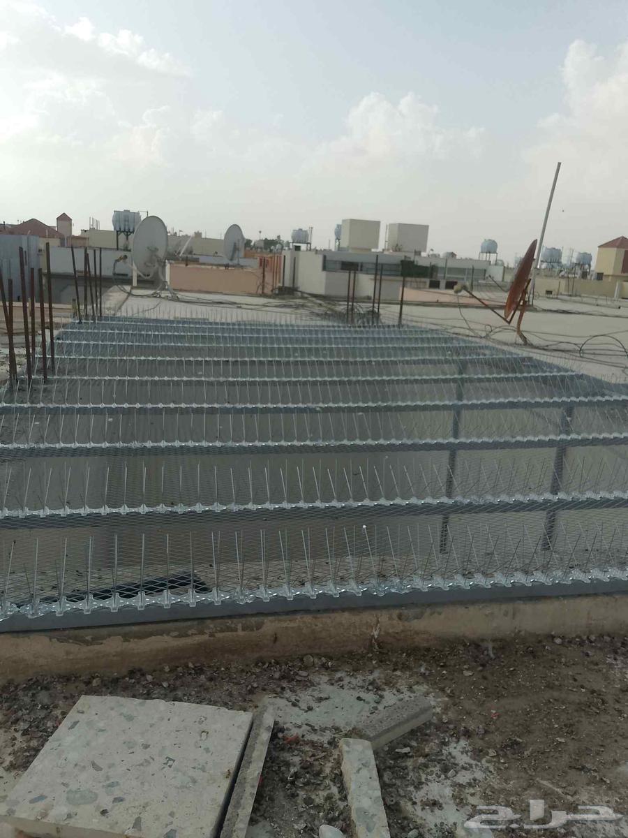 Pigeon repellent, window installation, shock windows64245711515650111