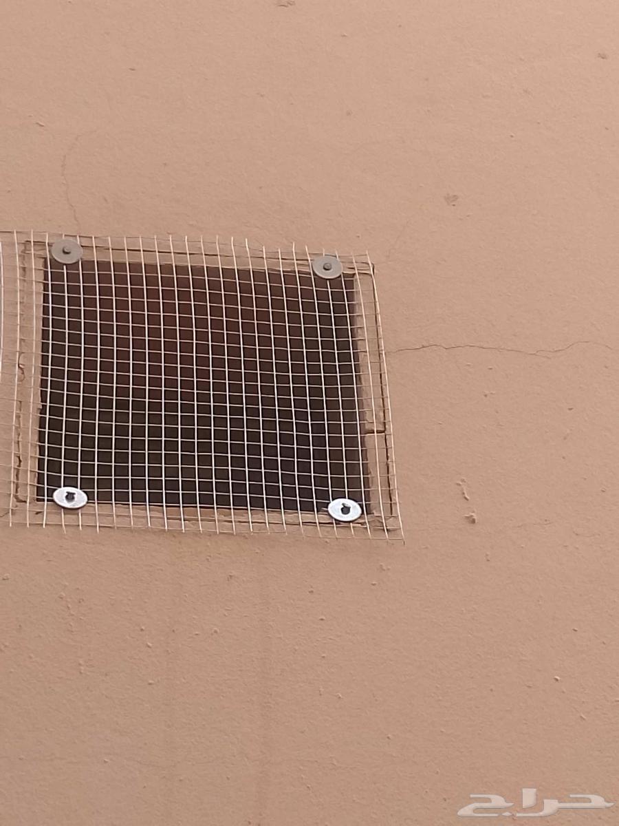 Pigeon repellent, window installation, shock windows64245711515650114