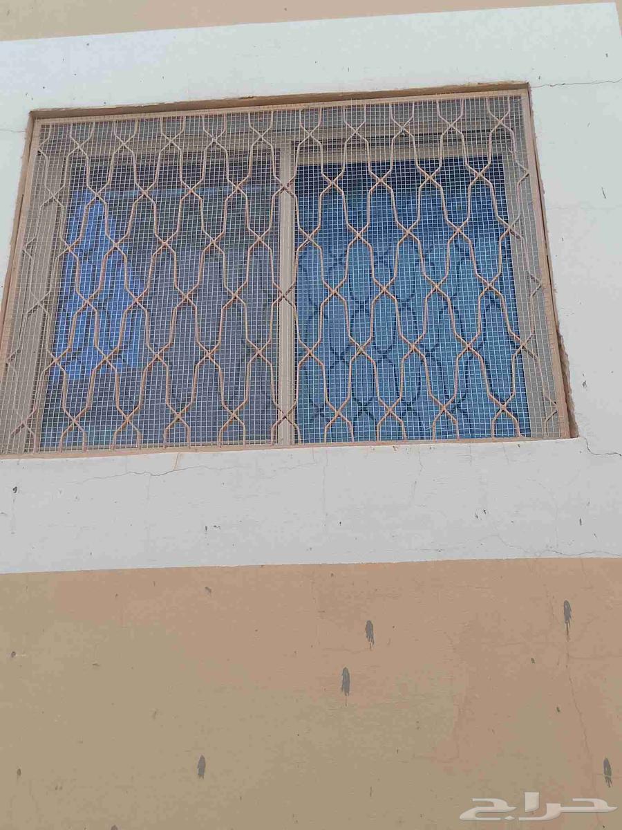 Pigeon repellent, window installation, shock windows64245711515650112