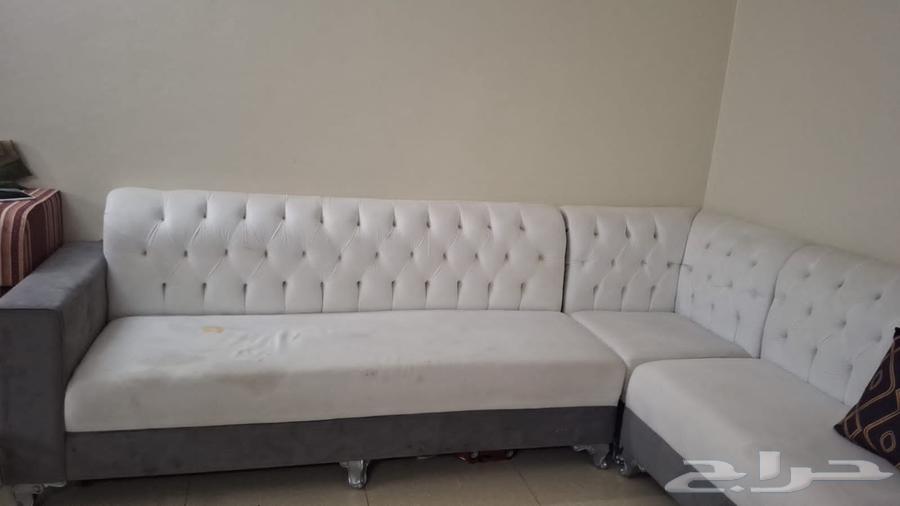 مجلس شبه جديد64475088024194112