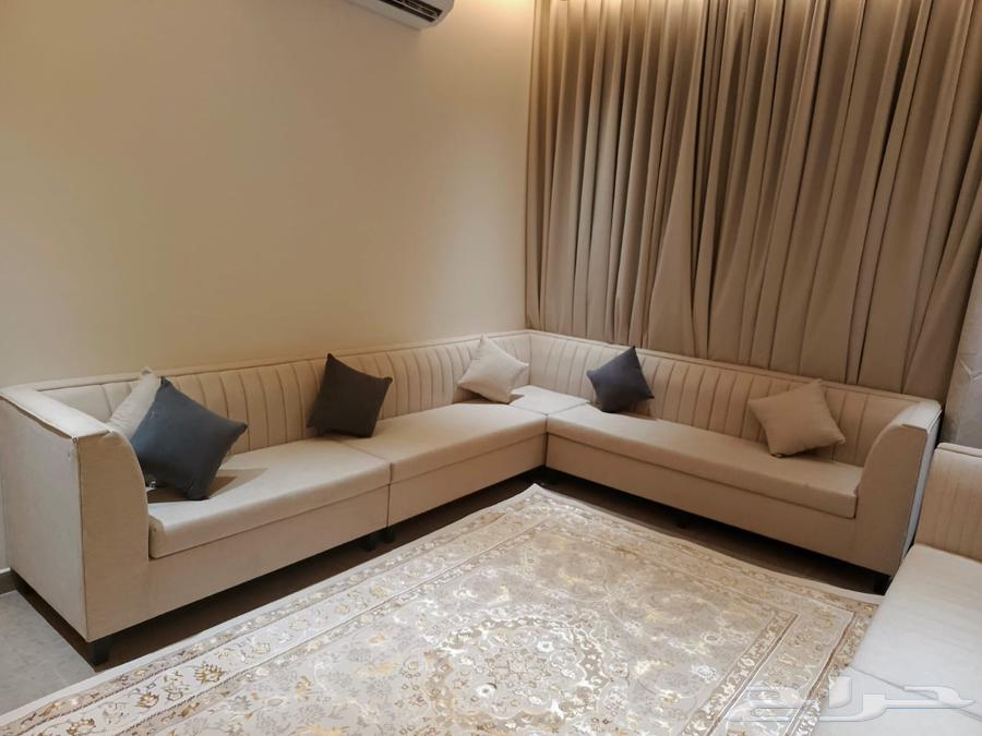 new sofa. 23064471911032067113