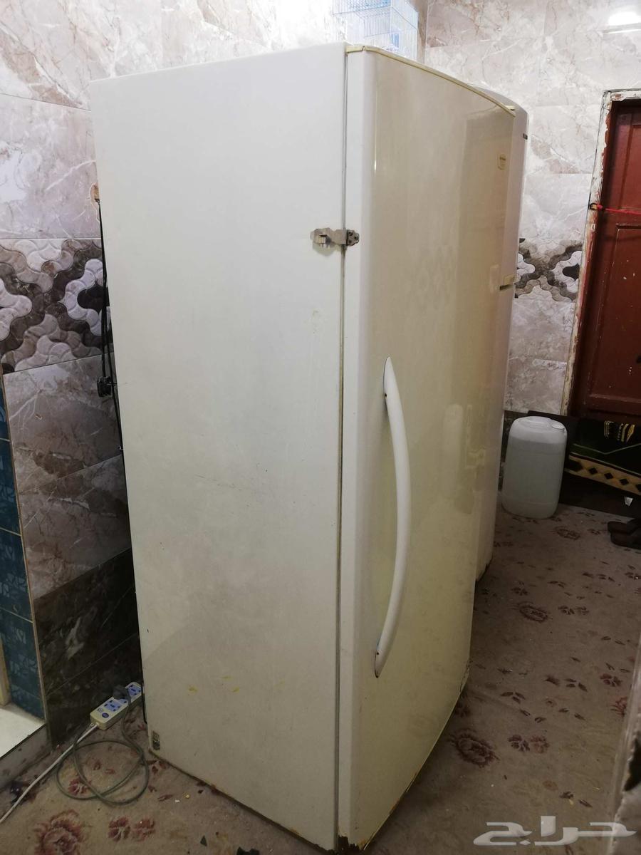 ثلاجه باب واحد دولاب كنفنيتر كهرباء 11064478252244353111